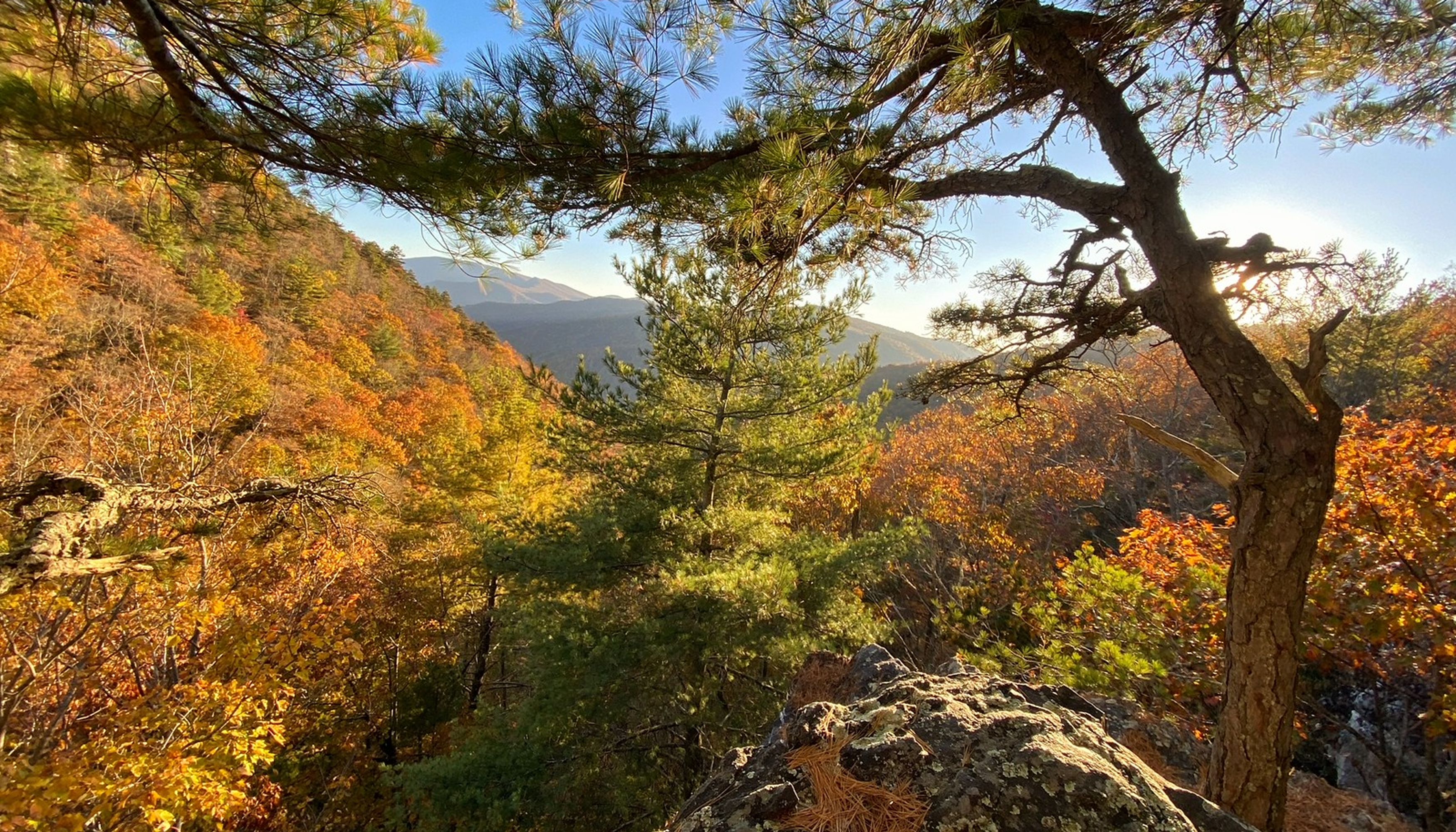 Outlook from Shenandoah National Park with fall colorsundefined