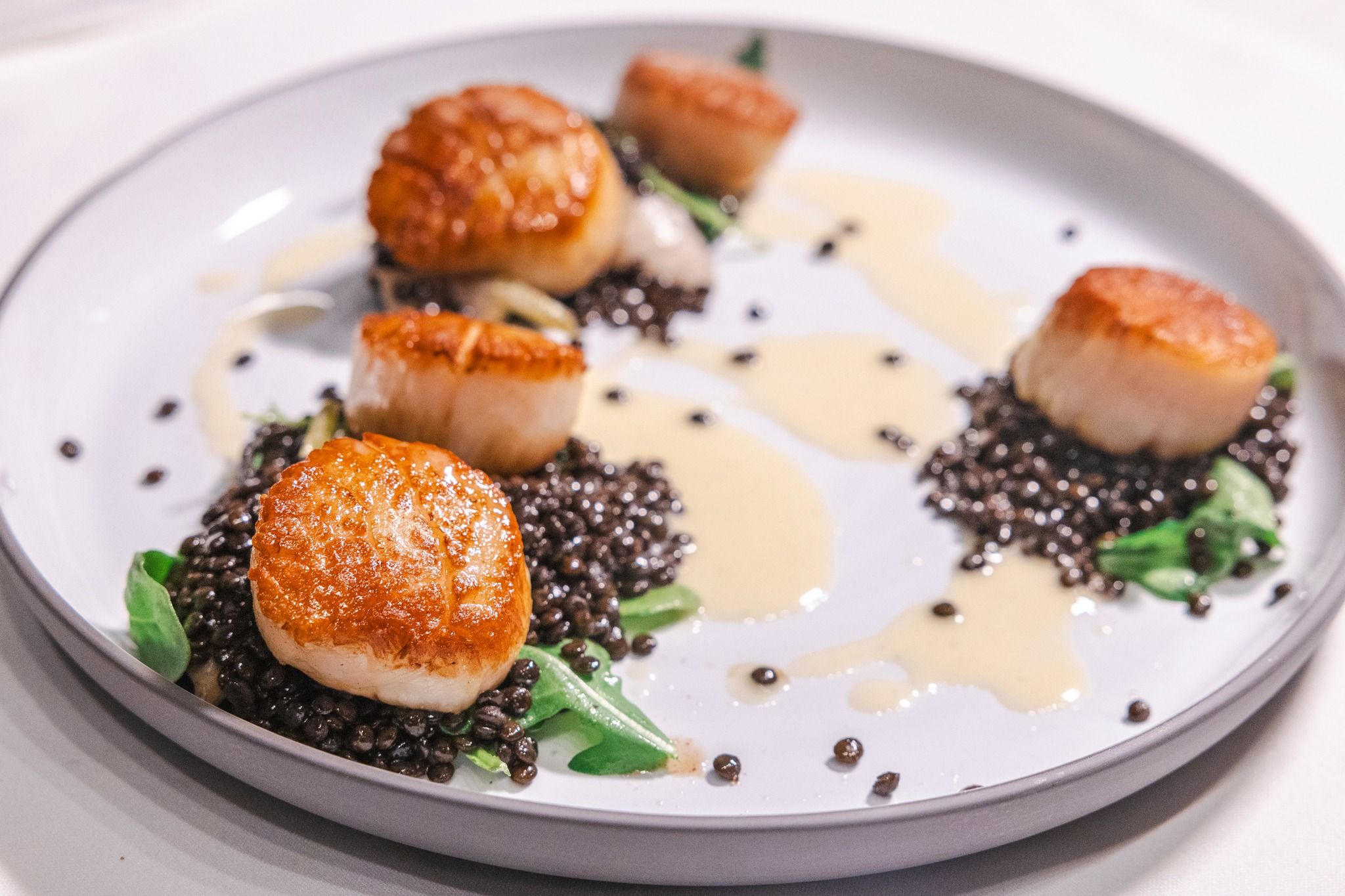 Seared Scallops