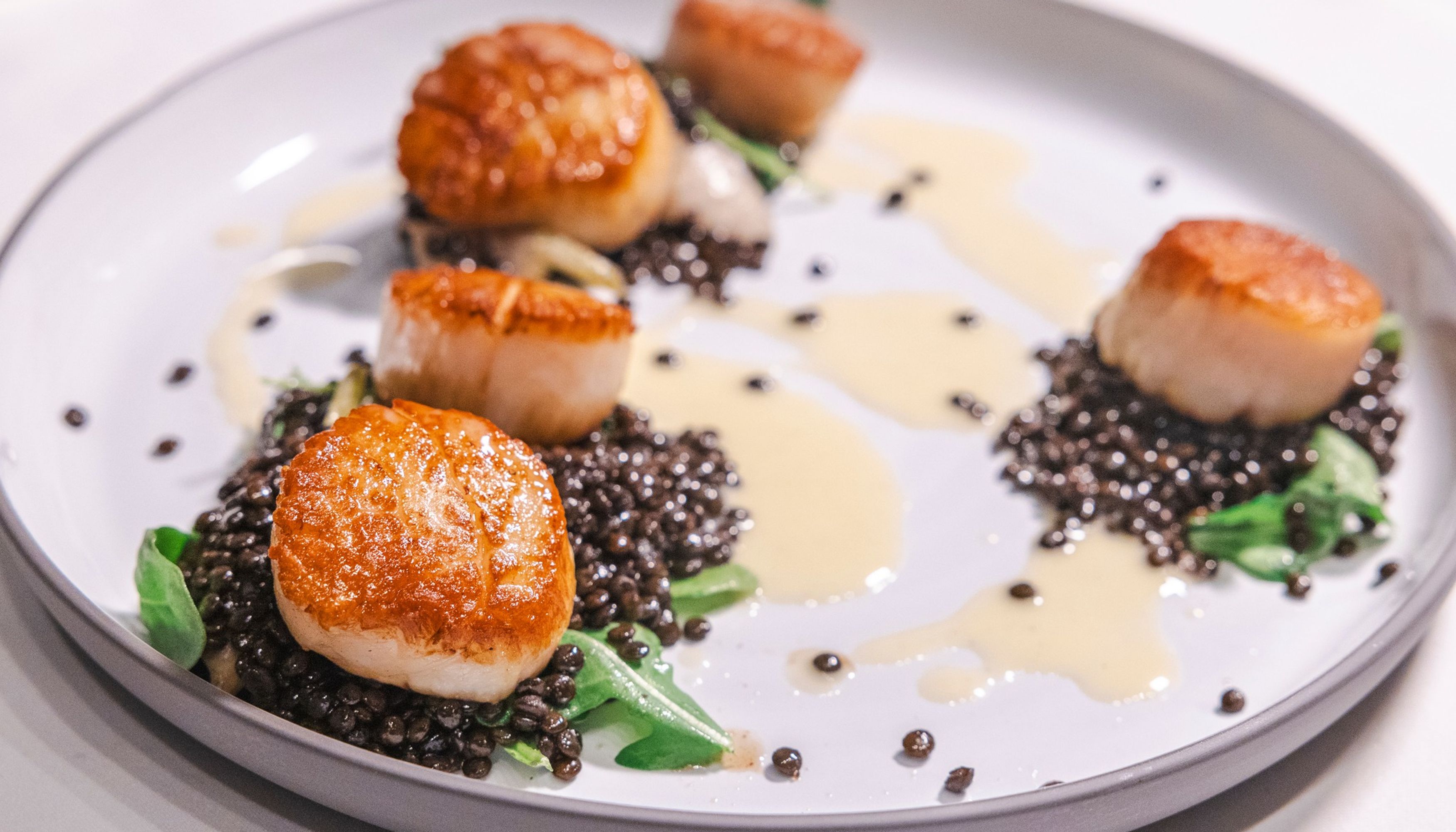 Seared Scallops