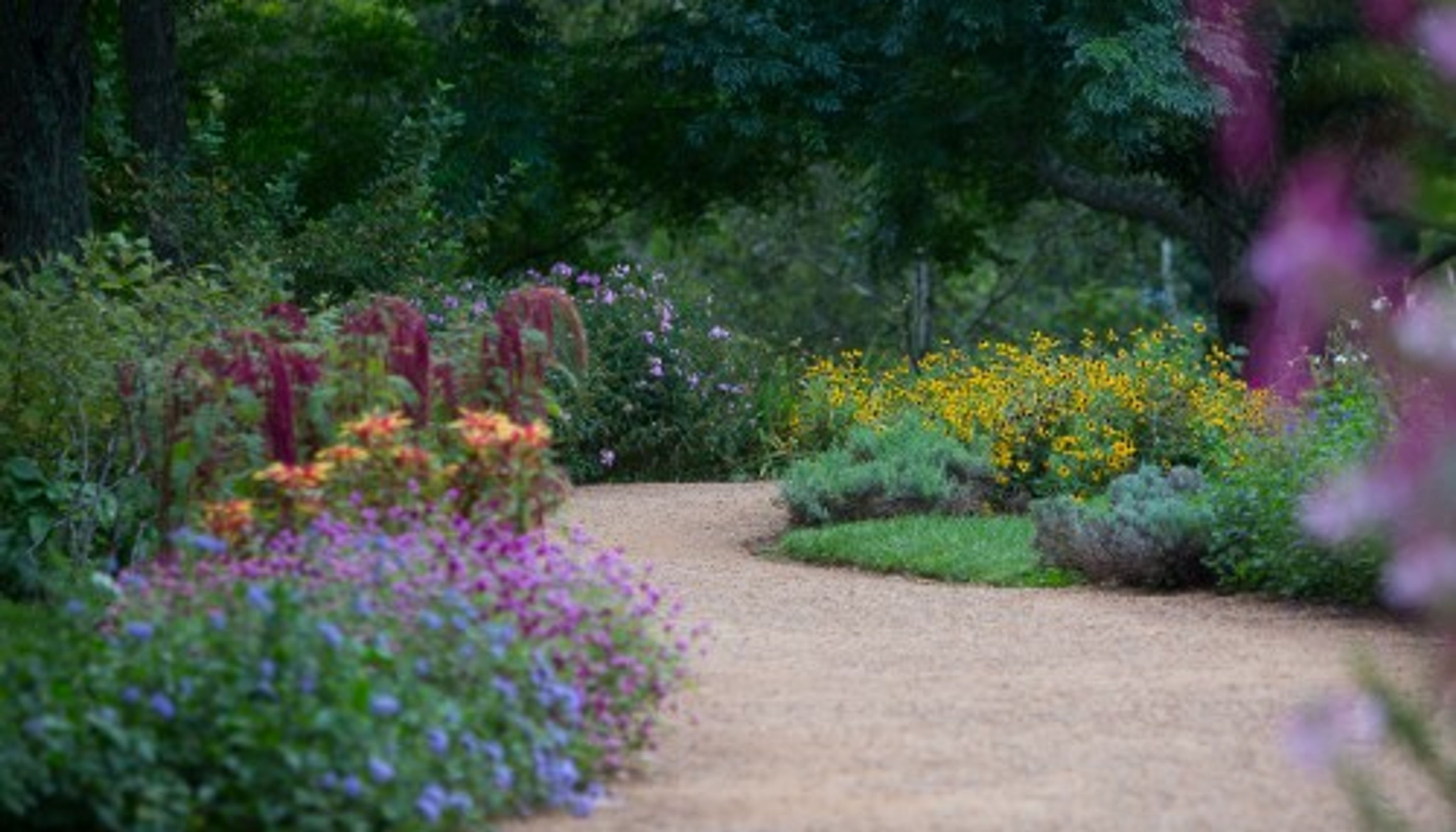 flower trailundefined