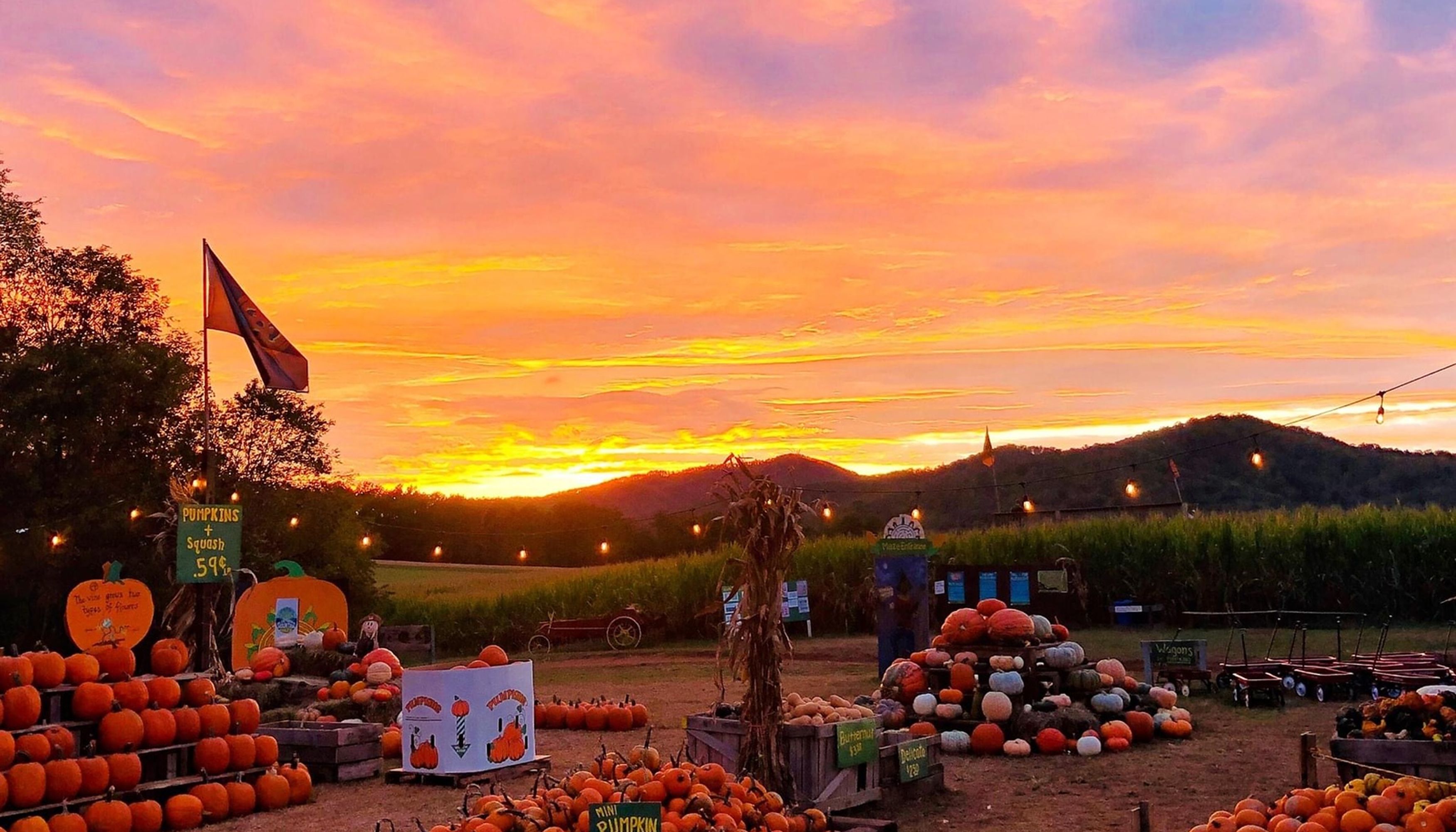 pumpkin stands in front of mountain sunsetundefined