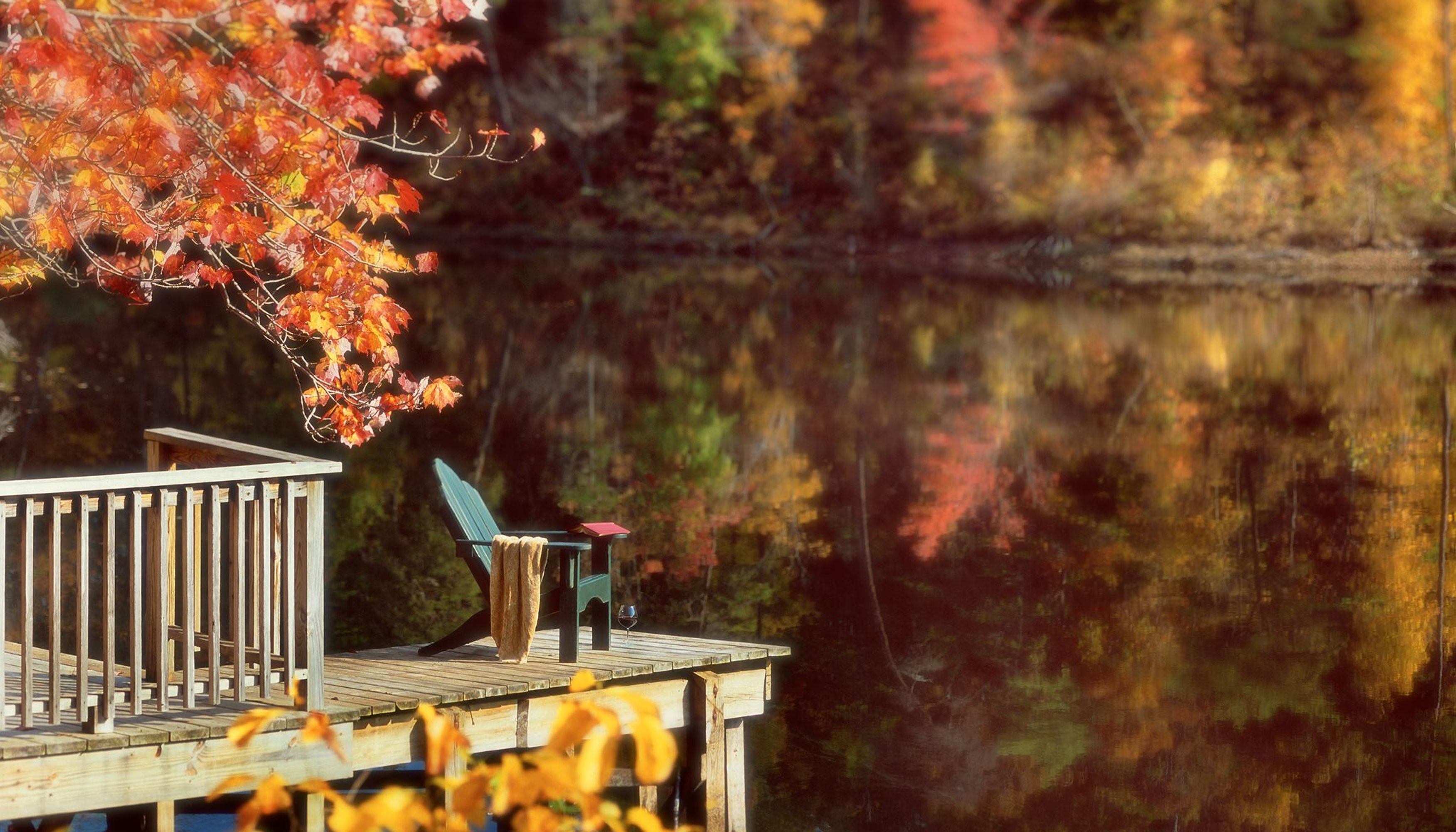 green chair on dock with view of fall leaves undefined