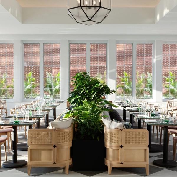 Birch + Bloom Culinary Excellence in Charlottesville, VA