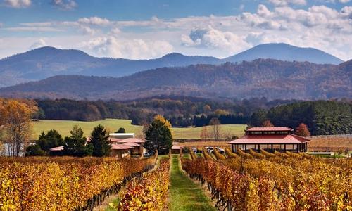 Afton Mountain Vineyards