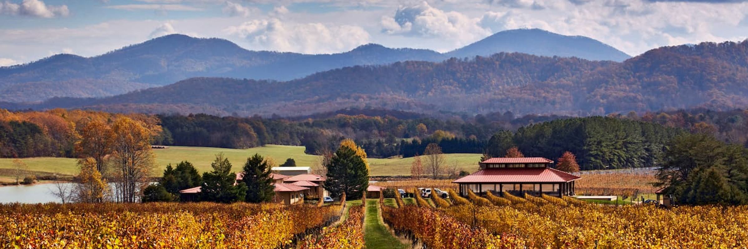 Afton Mountain Vineyards