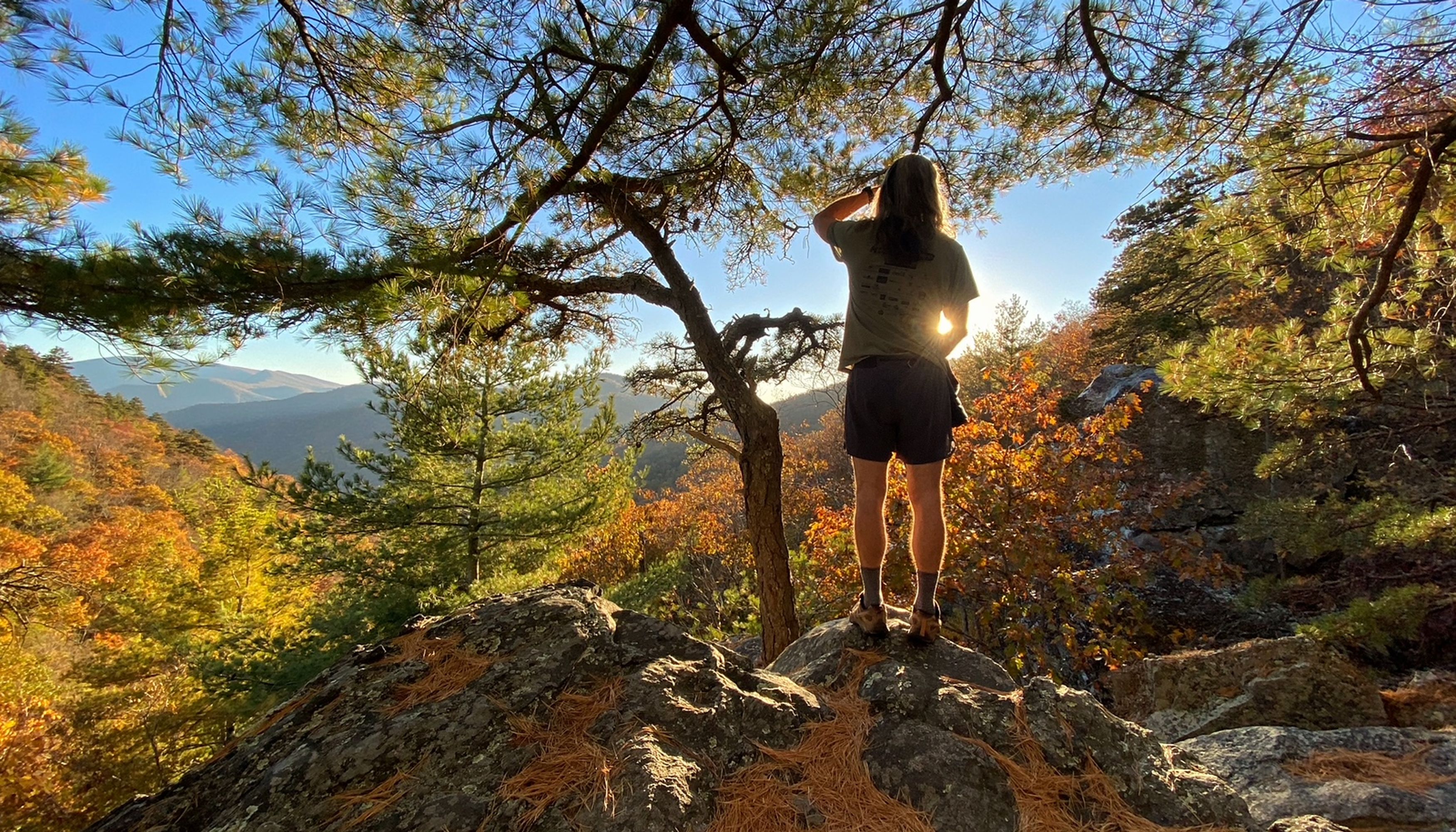 woman looking at blue ridge overlookundefined