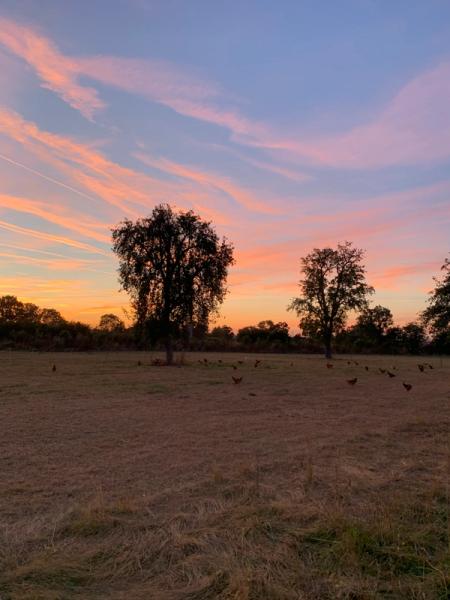 Photo de la ferme