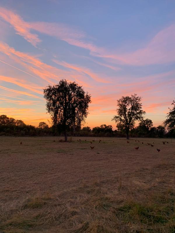 Photo de la ferme