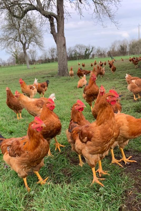 Photo de la ferme