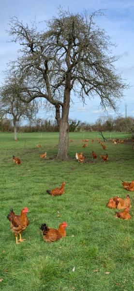 Photo de la ferme