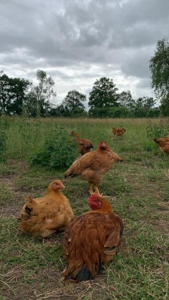 Photo de la ferme