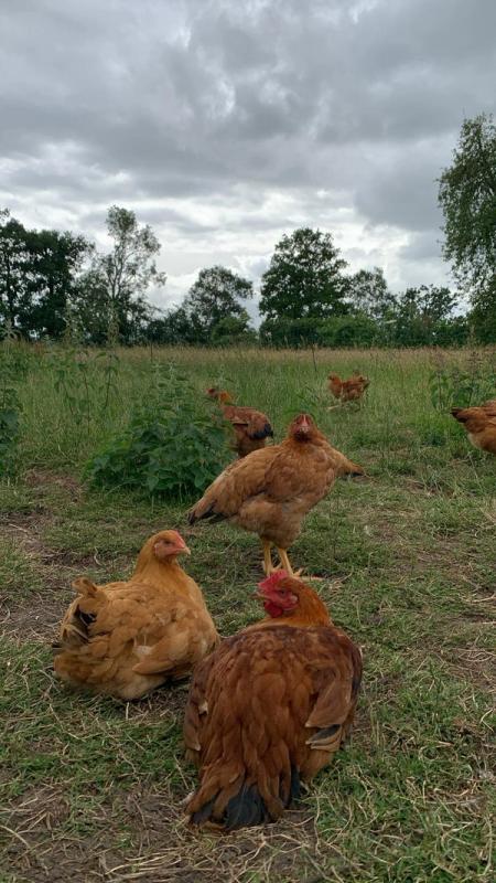 Photo de la ferme