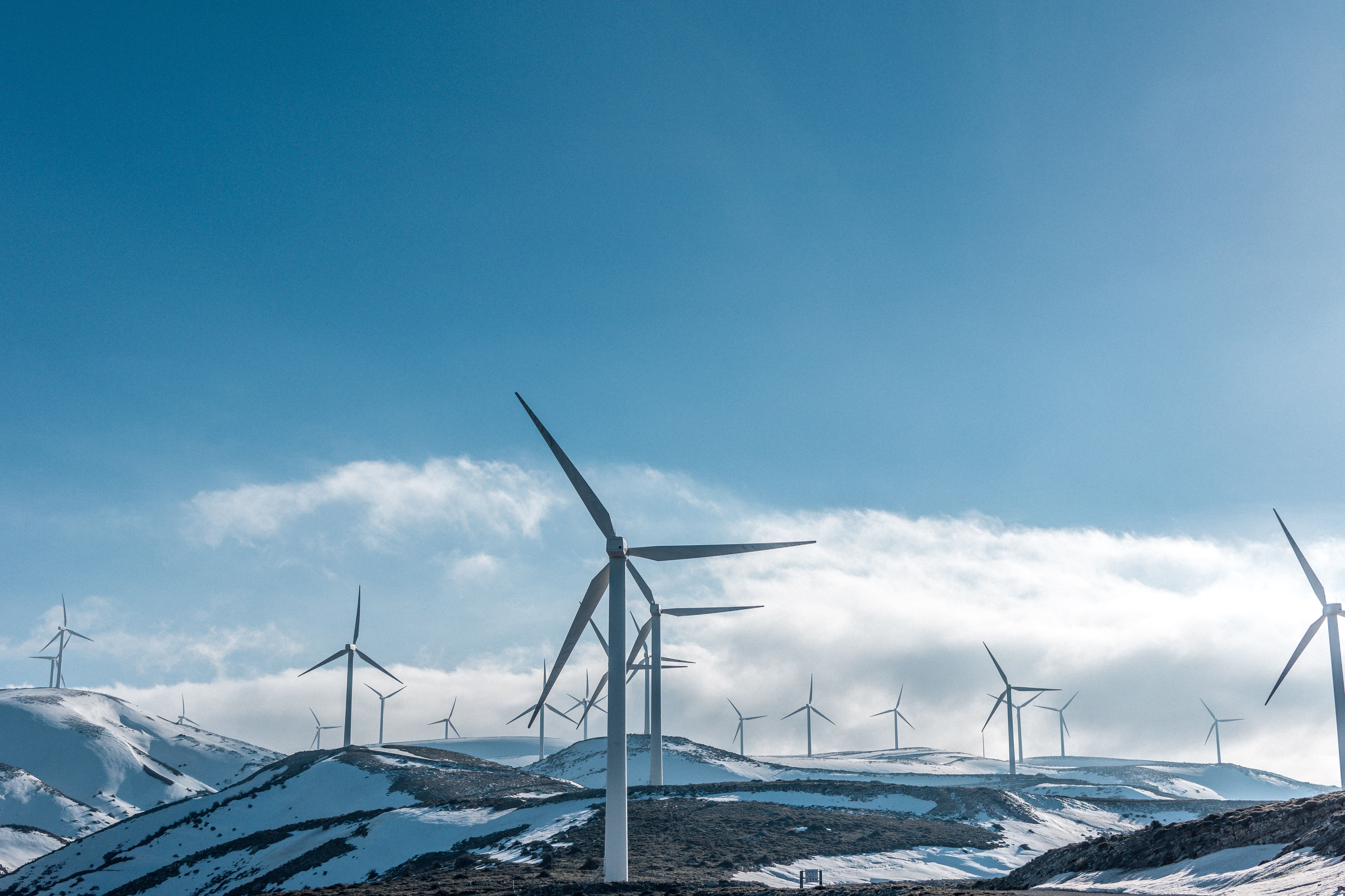 Sustainable Technology: The Importance of Green Innovation in the Tech Industry