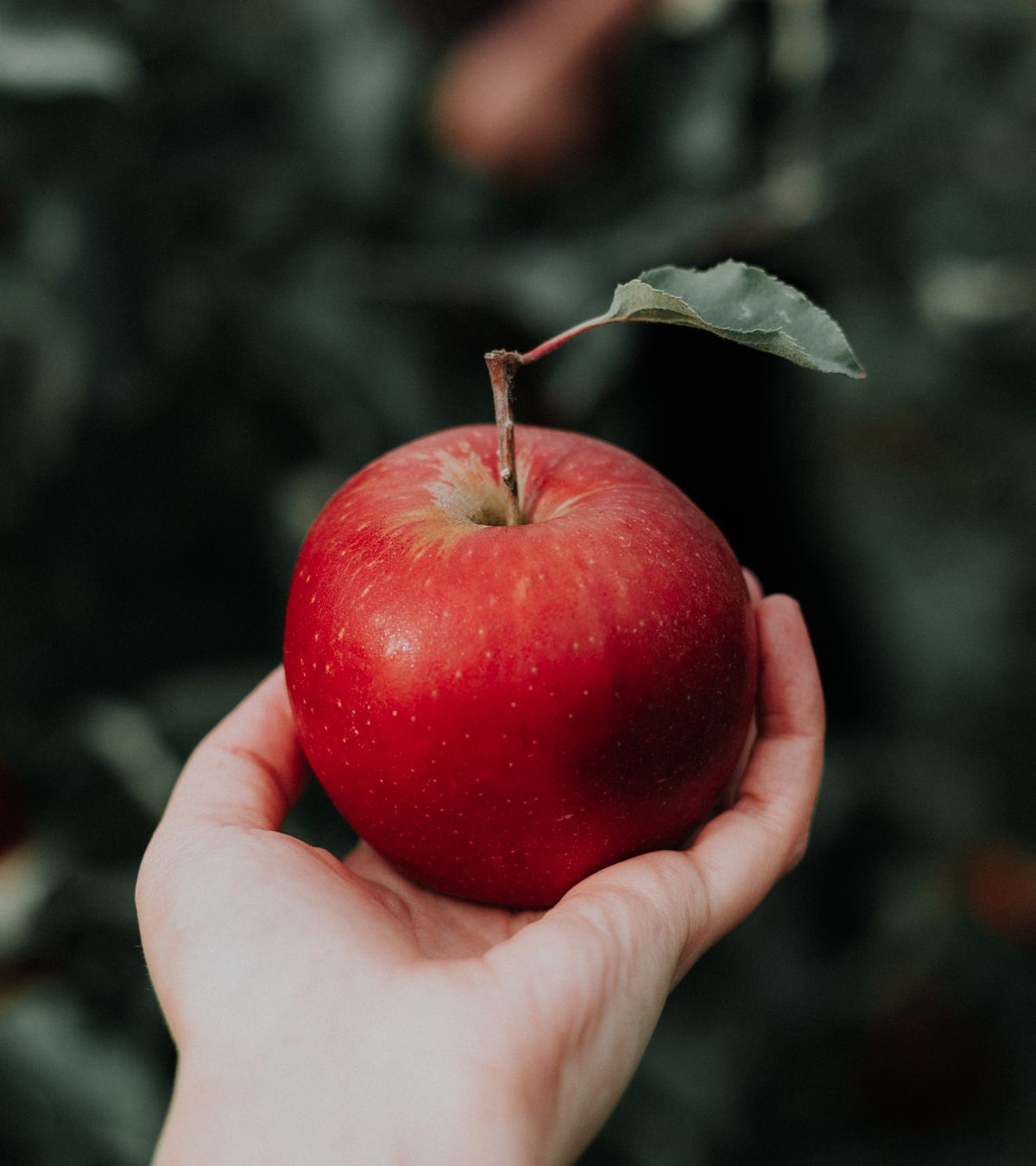 Apple in hand