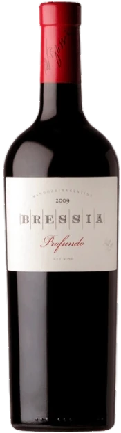 Botella de Bressia Profundo 2021 750 ml