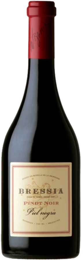 Botella de Bressia Piel Negra 2022 750 ml