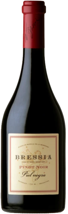 Botella de Bressia Piel Negra 2022 750 ml
