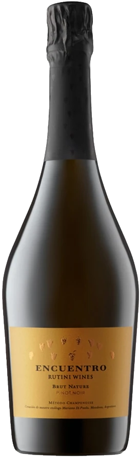 Botella de Encuentro Brut Nature 750 ml