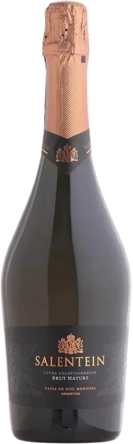 Botella de Salentein Brut Nature 750 ml