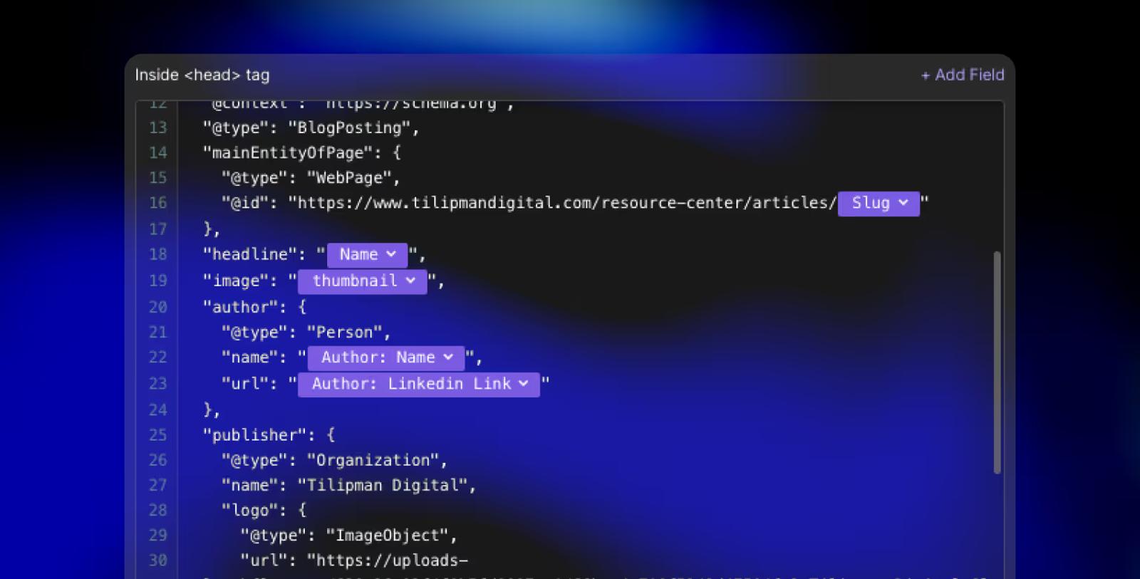 Webflow Schema Markup: Dynamic Implementation