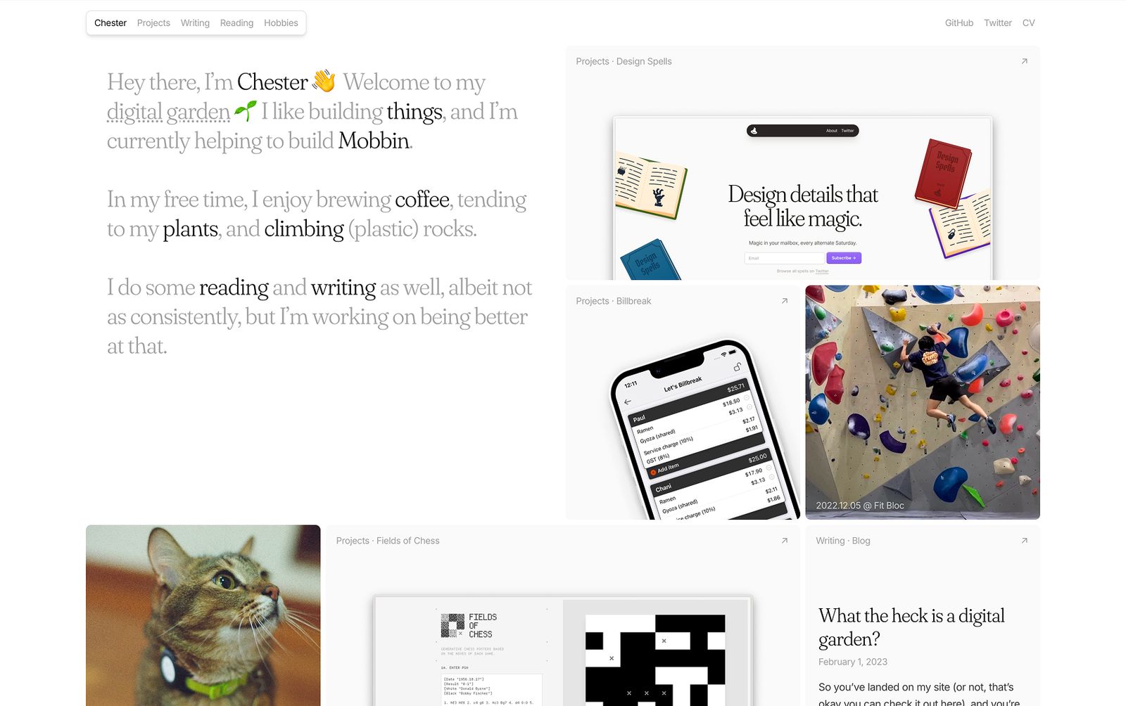 Personal Website Example: Chester's Garden