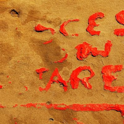 VAE refusée ou partiellement validée : quels recours et que faire après un échec ?