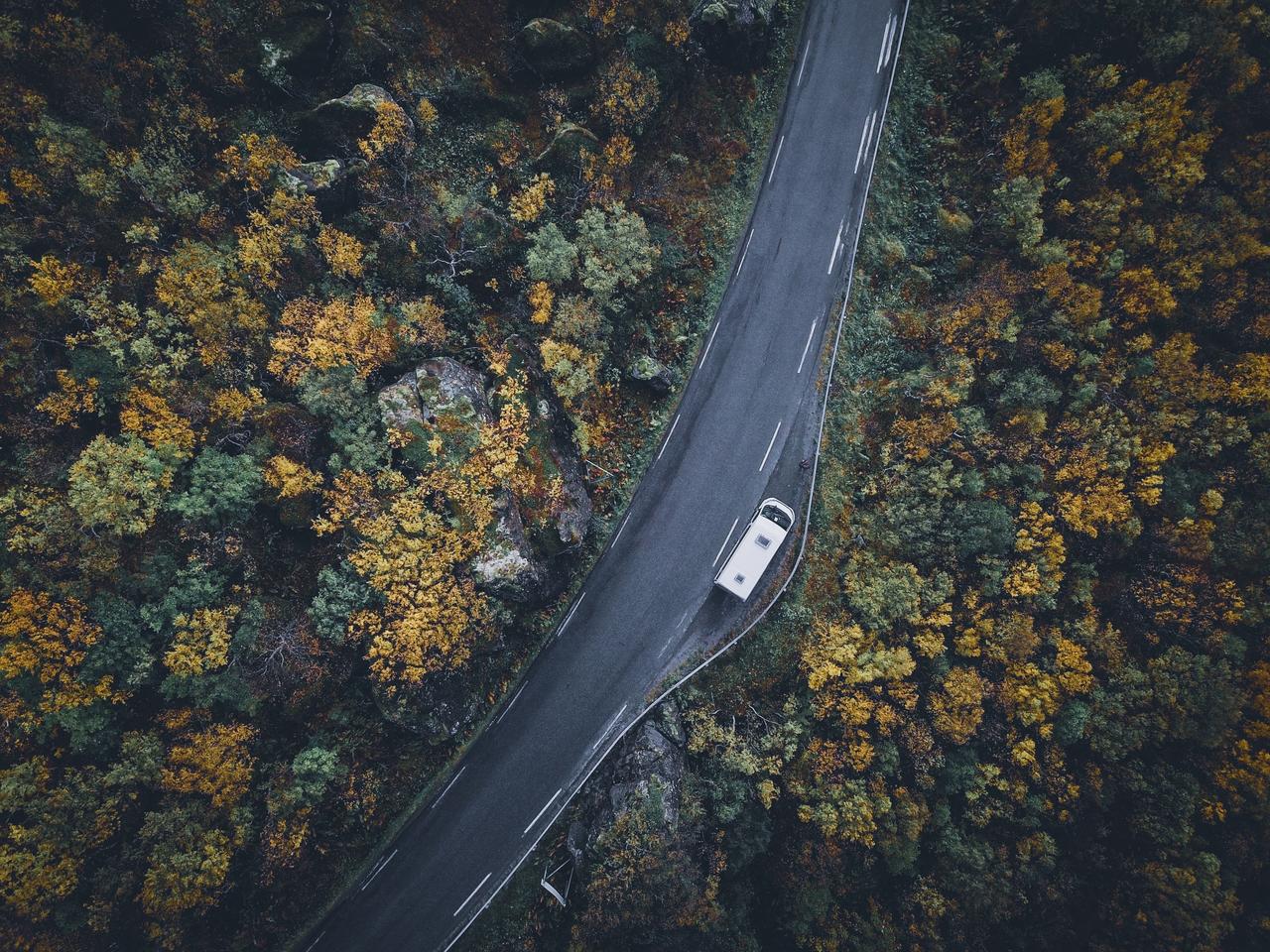 nature, road, car, photo
