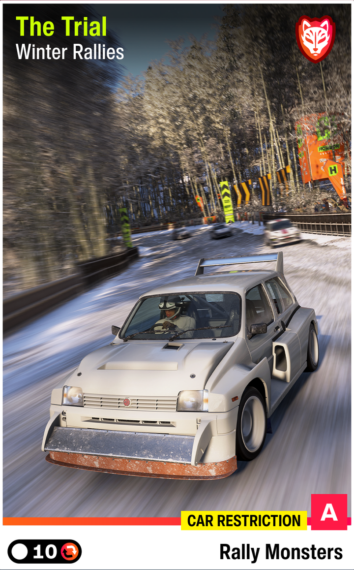 Winter Rallies