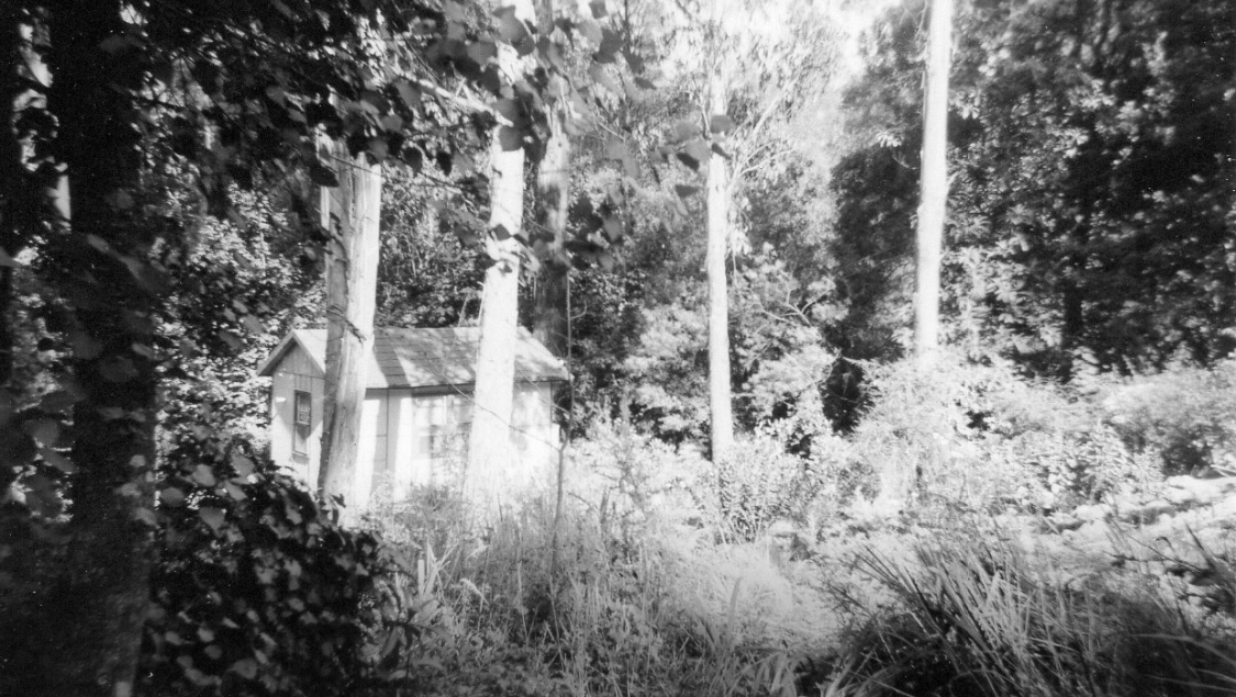 Original Cottage Jacky Winter Gardens 1950 Dandenongs