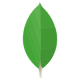 MongoDB