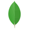 MongoDB