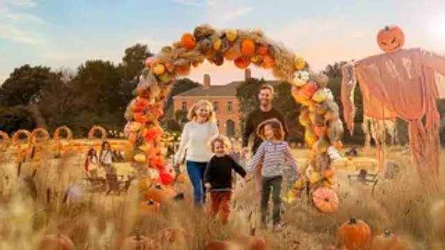 Autumn Days at Filoli