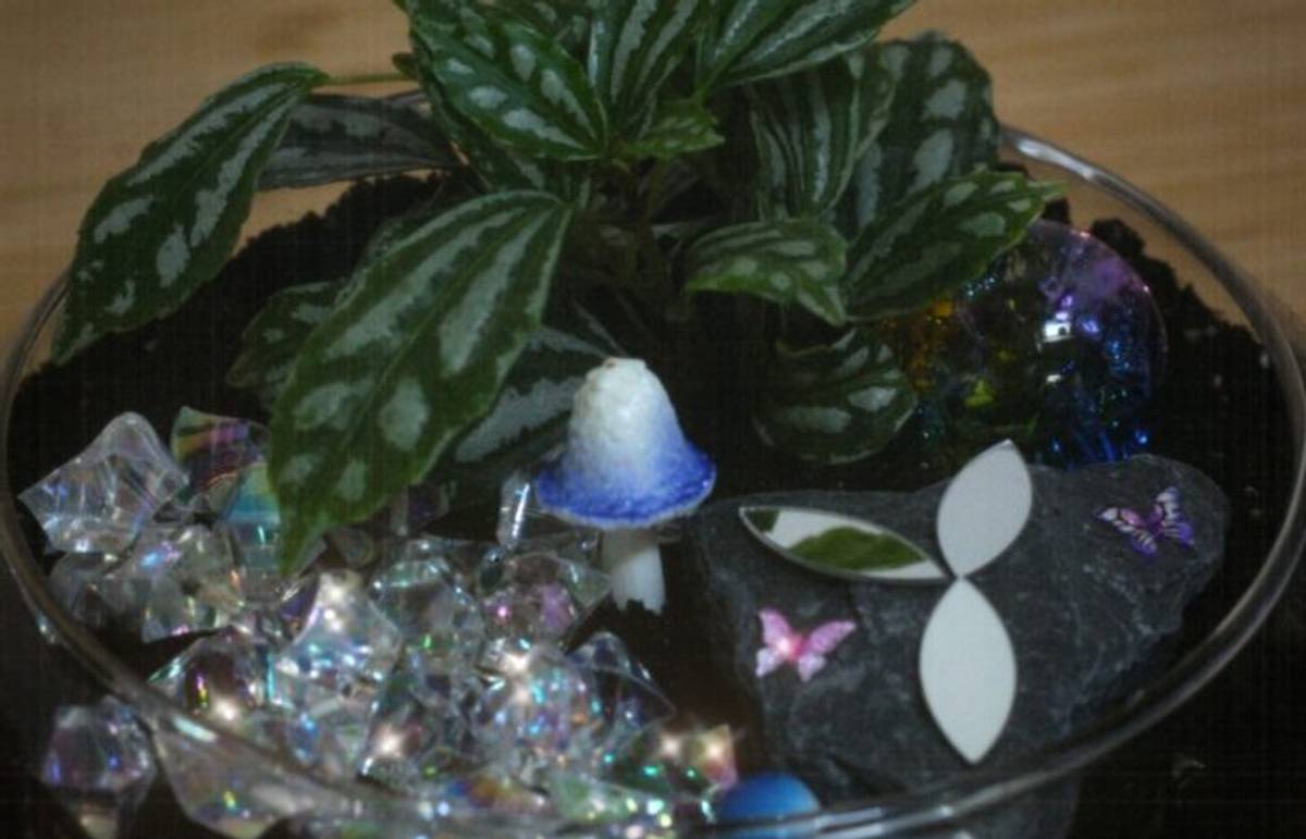 ARTlab: Enchanted Terrariums with Flora Plant Shop