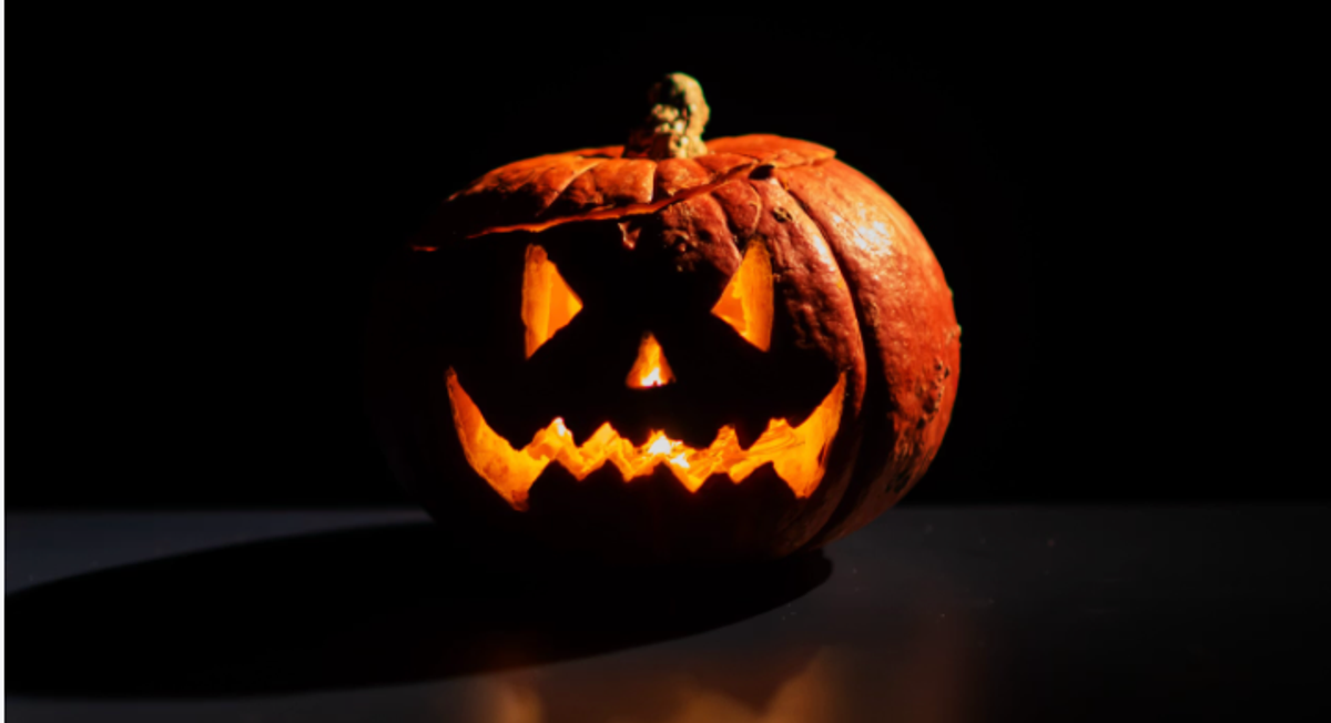 Harvest NIGHTS | Bootanical Bash