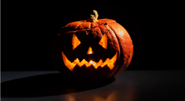 Harvest NIGHTS | Bootanical Bash