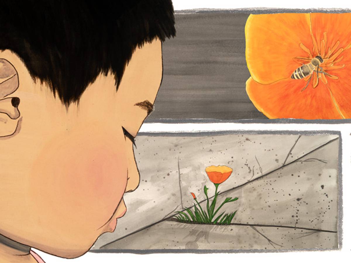 This Asian American Life