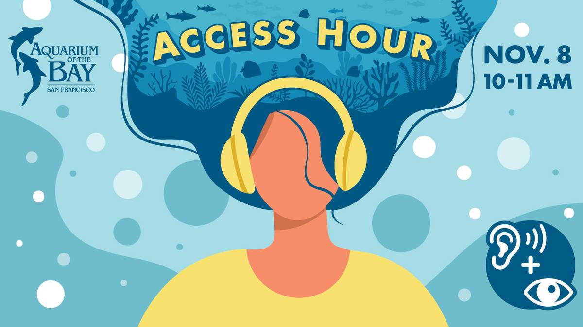 Nov. 8: ACCESS HOUR - Enjoy a Quieter Experience