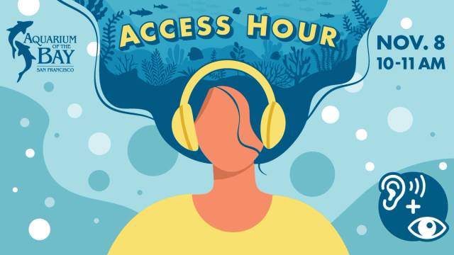 Nov. 8: ACCESS HOUR - Enjoy a Quieter Experience