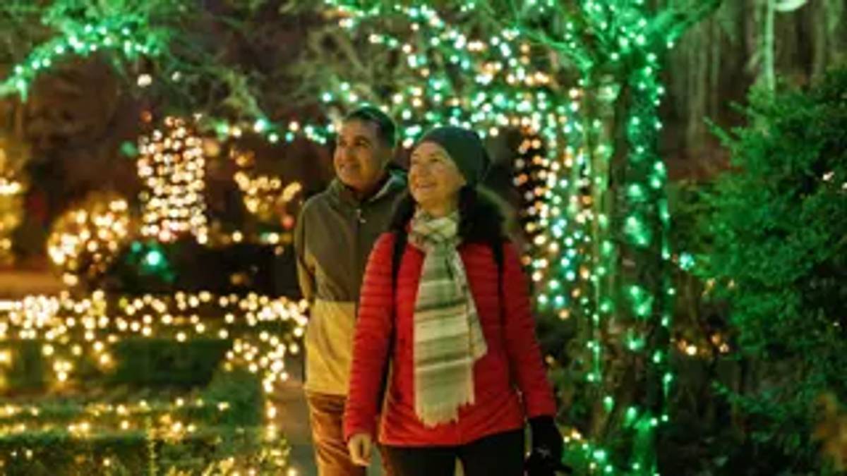 Holiday Lights