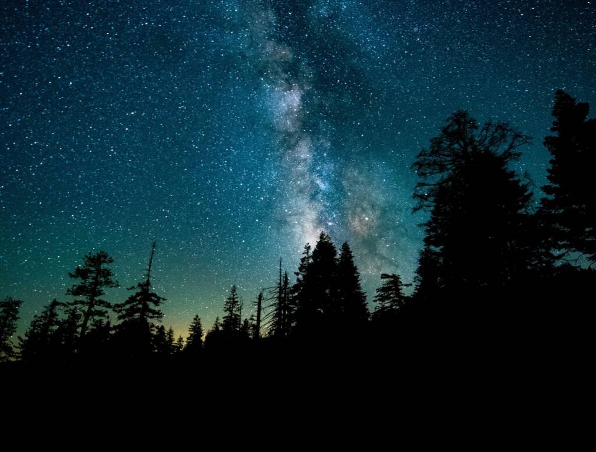 Nightwatch