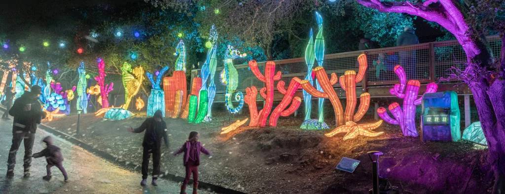 Glowfari VIP Experience