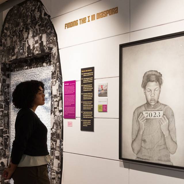 Downtown First Thursdays - Free Access to our current exhibitions!