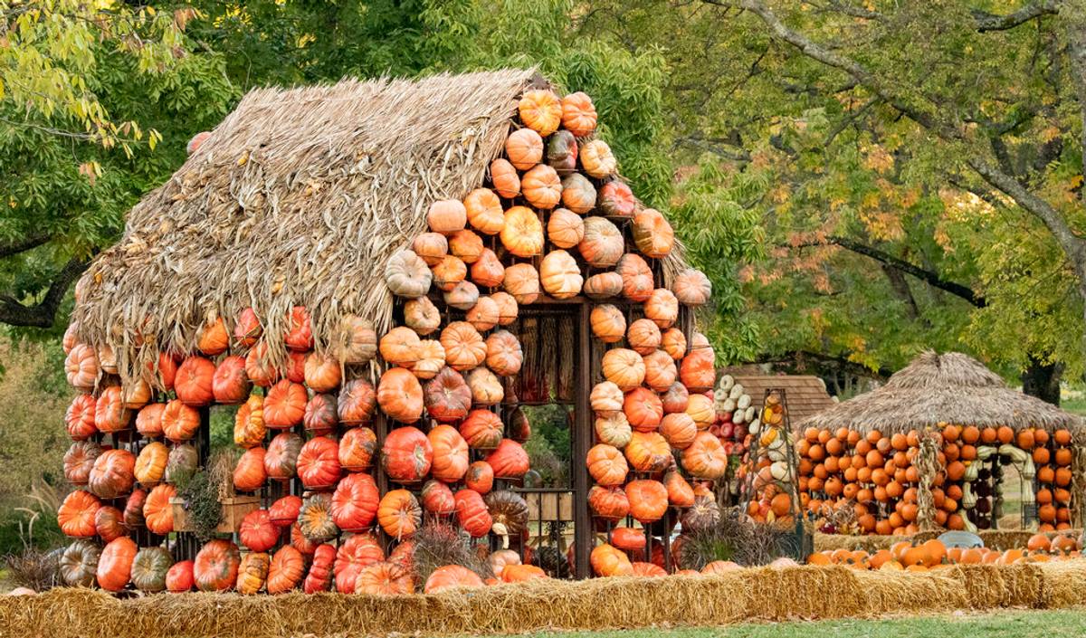 Cheekwood Harvest