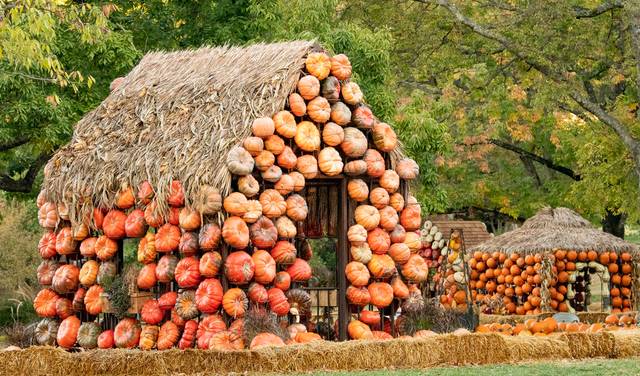 Cheekwood Harvest