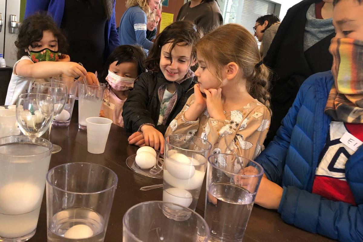 Saturday Science
