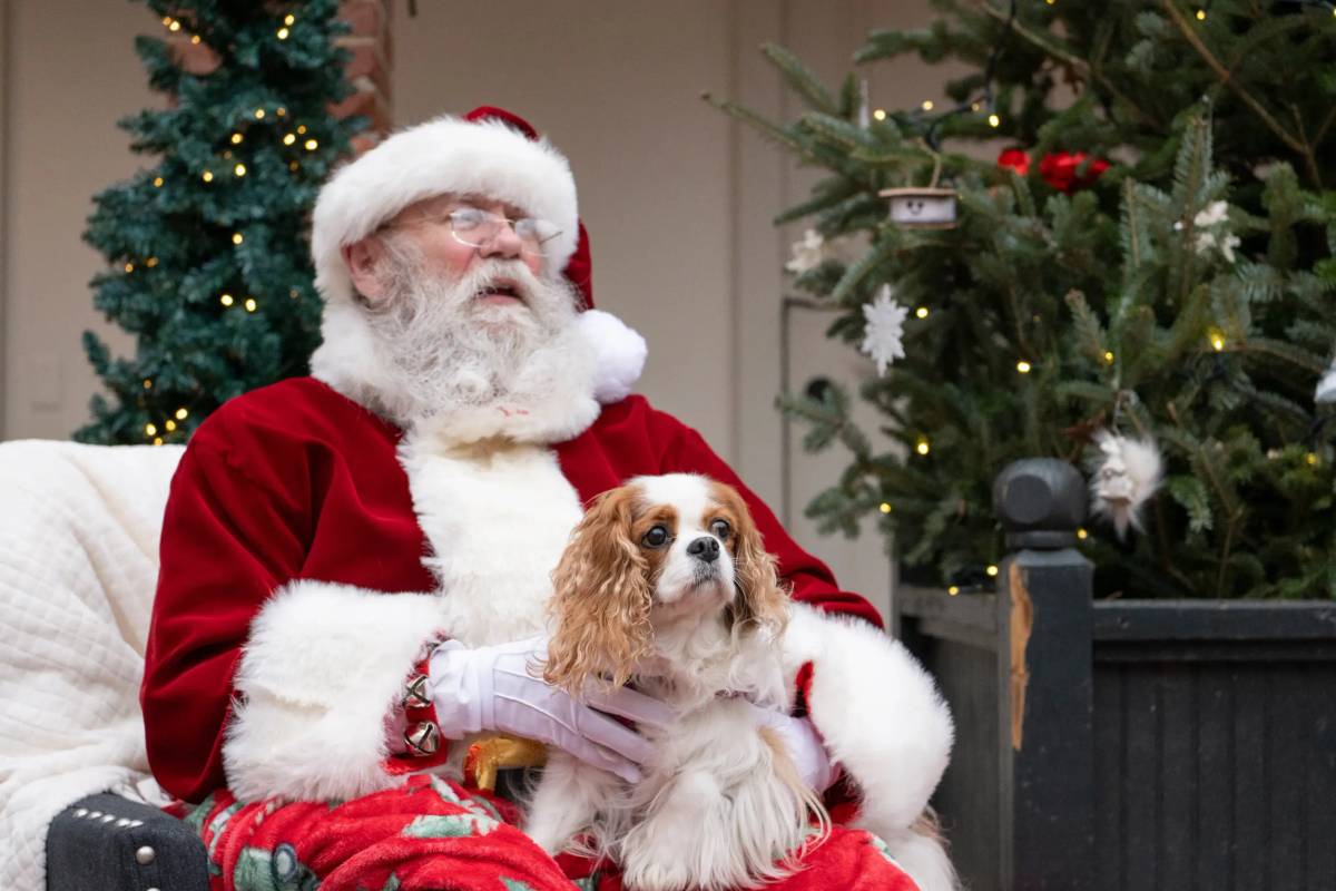 Dog Visits with Santa