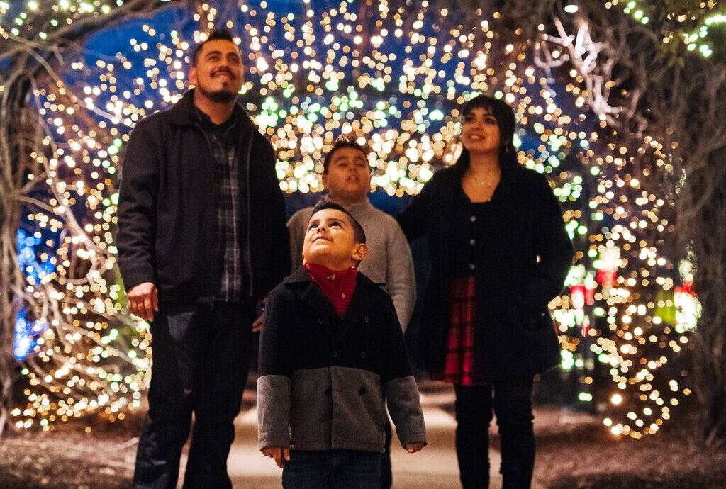 Holiday LIGHTS Member Preview Night