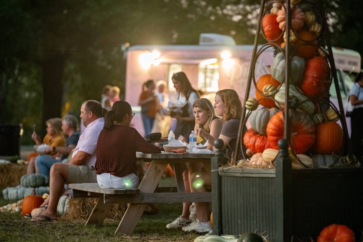 Harvest NIGHTS