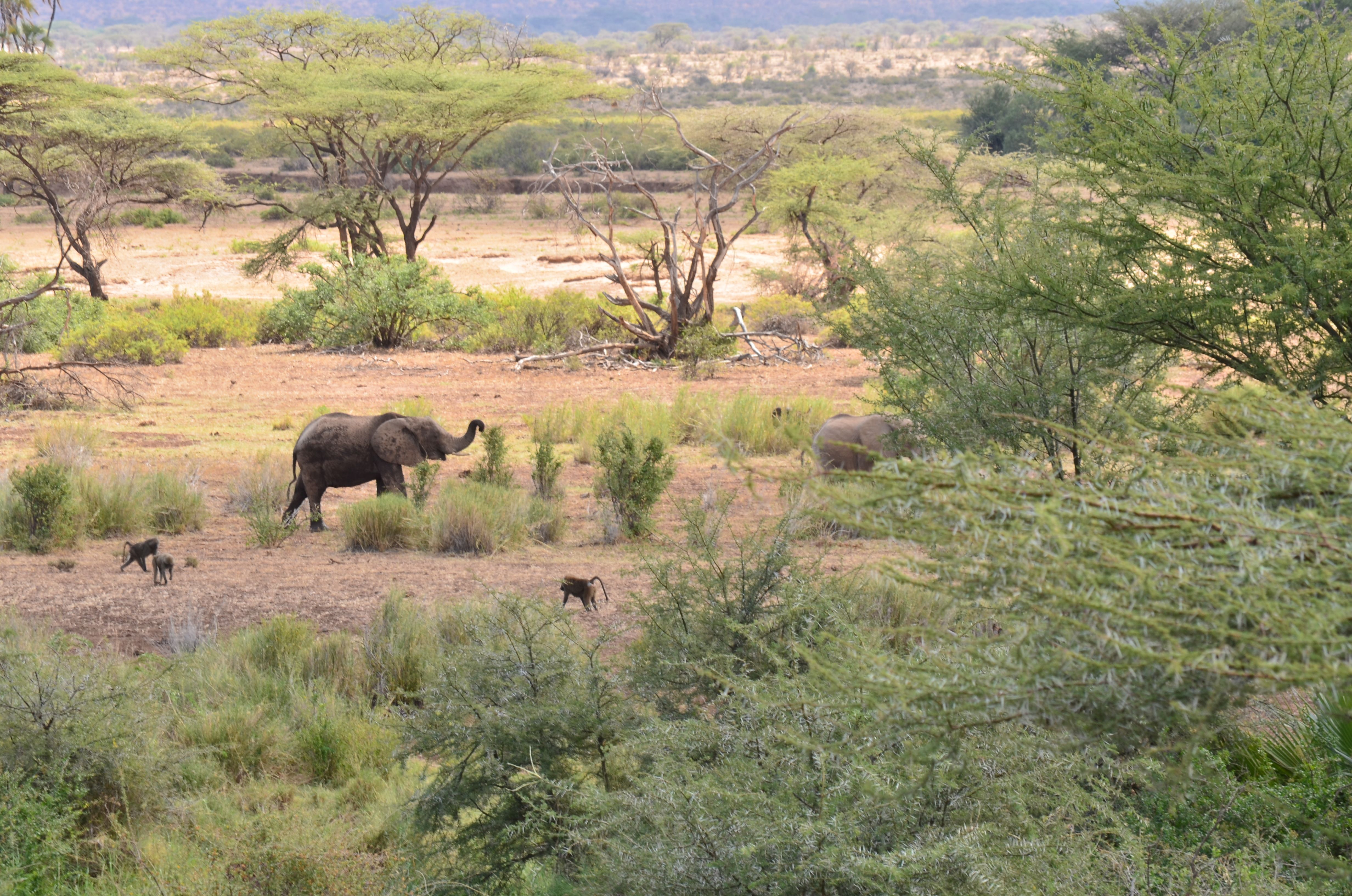 NEW FRIENDS AND HAPPY PLACES