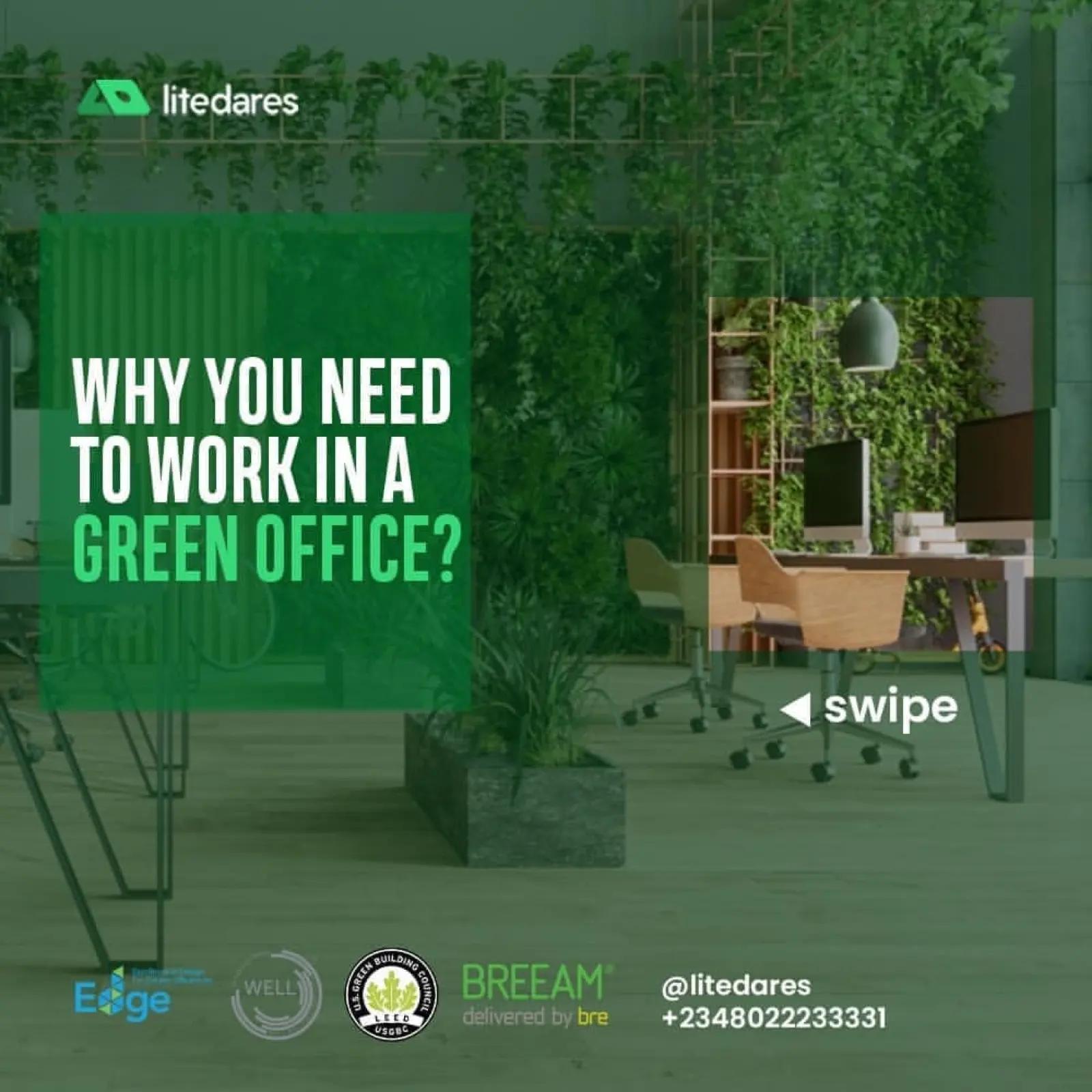 Why Green Office Is The Future Of Business